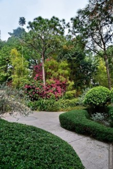 Мой дорогой Гонконг...