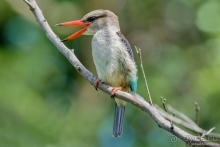 Африканское ралли. Часть 10. Малави.