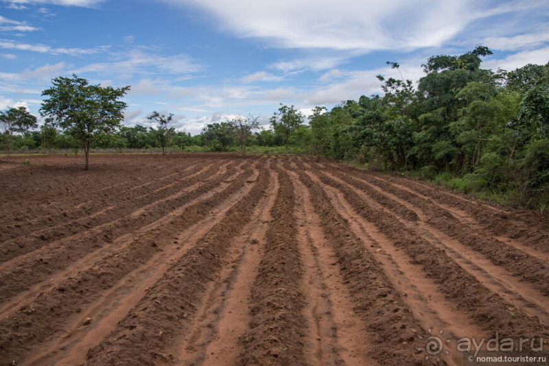 Африканское ралли. Часть 10. Малави.