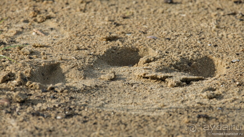 Африканское ралли. Часть 10. Малави.