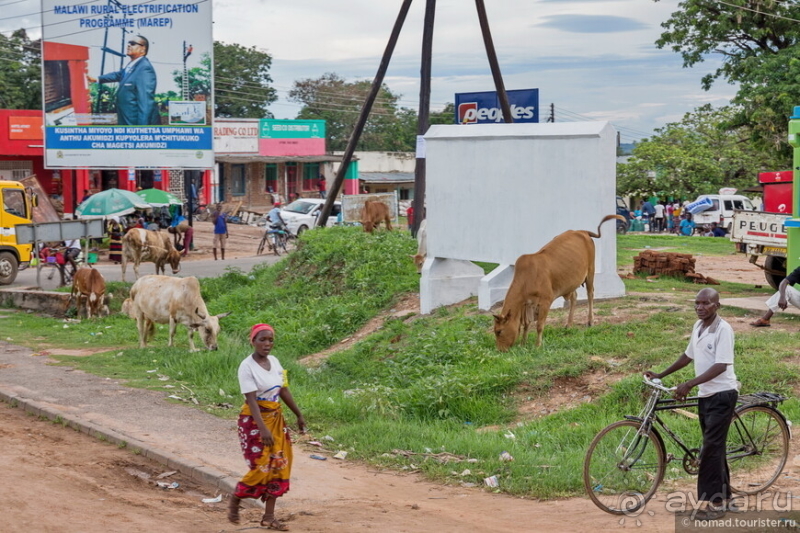 Африканское ралли. Часть 10. Малави.
