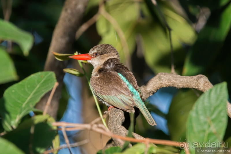 Африканское ралли. Часть 10. Малави.