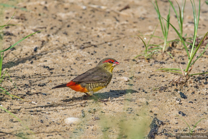 Африканское ралли. Часть 10. Малави.