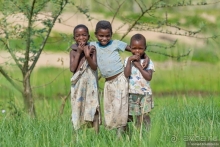 Африканское ралли. Часть 10. Малави.