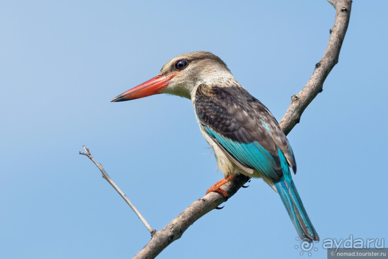 Африканское ралли. Часть 10. Малави.