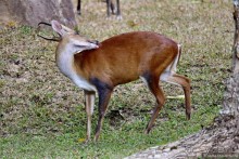 ТАИЛАНДиЯ. Часть 3