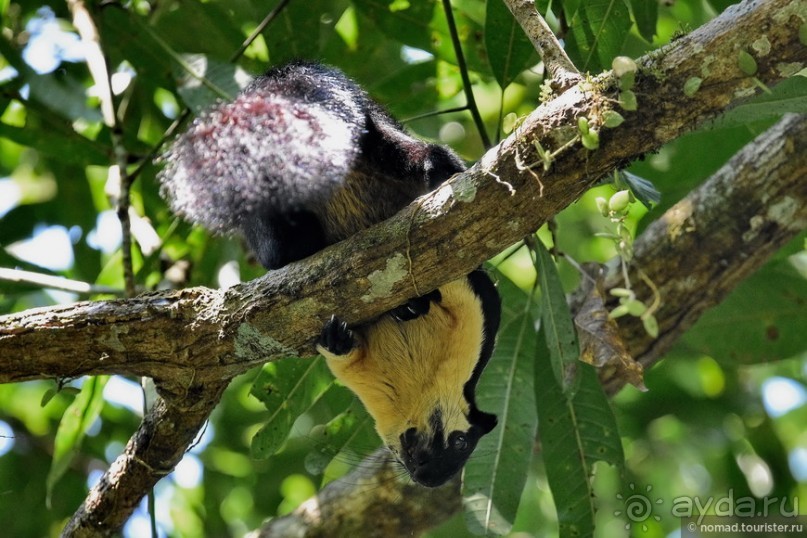 ТАИЛАНДиЯ. Часть 3