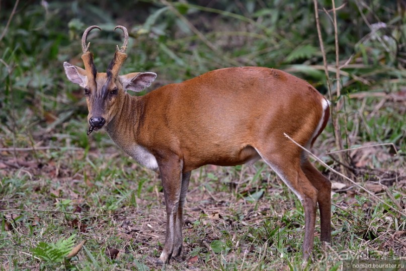 ТАИЛАНДиЯ. Часть 3