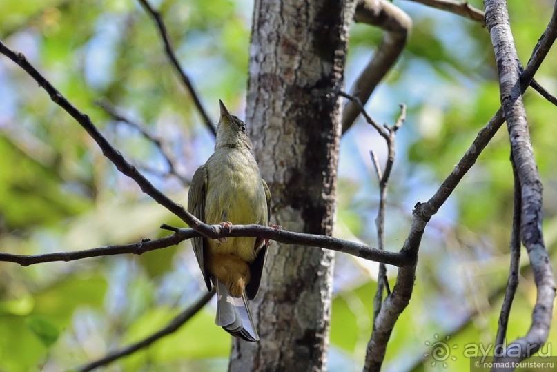 ТАИЛАНДиЯ. Часть 3