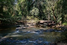 ТАИЛАНДиЯ. Часть 3