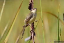 ТАИЛАНДиЯ. Часть 3