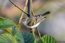 ТАИЛАНДиЯ. Часть 3