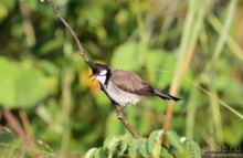 ТАИЛАНДиЯ. Часть 3