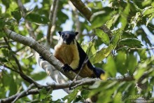 ТАИЛАНДиЯ. Часть 3