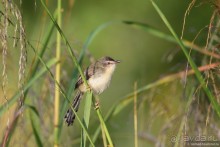 ТАИЛАНДиЯ. Часть 3