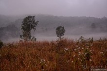 ТАИЛАНДиЯ. Часть 3