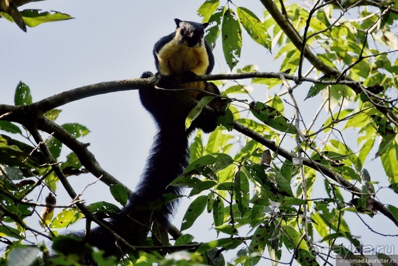 ТАИЛАНДиЯ. Часть 3