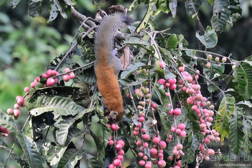 ТАИЛАНДиЯ. Часть 3