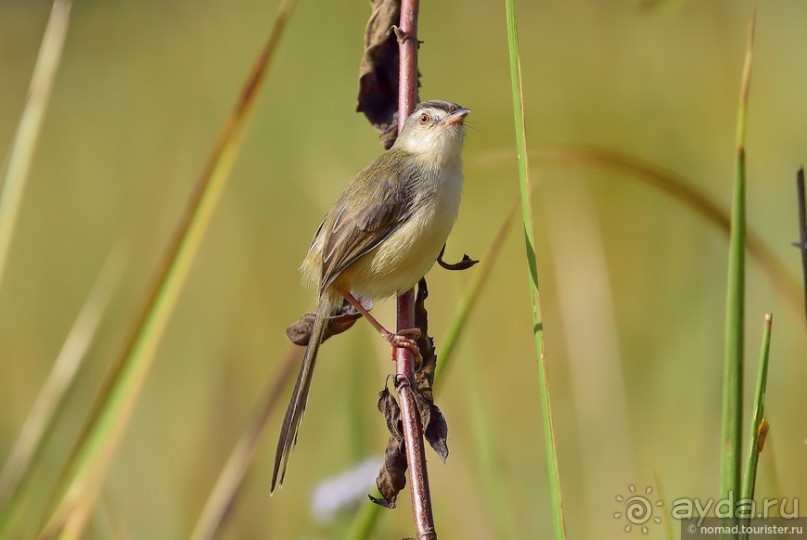 ТАИЛАНДиЯ. Часть 3
