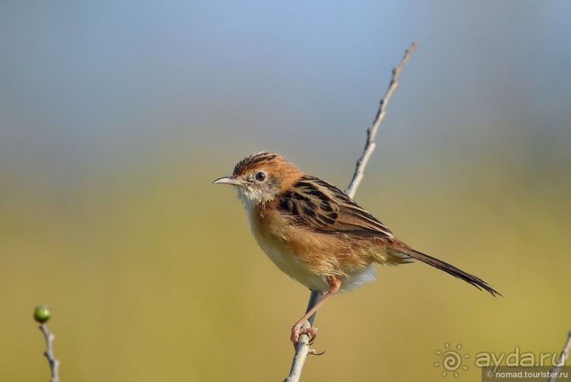 ТАИЛАНДиЯ. Часть 3