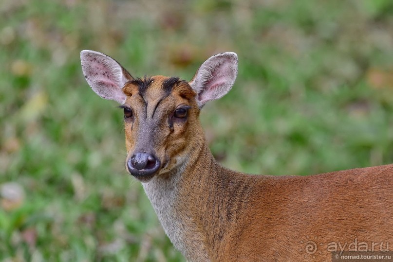 ТАИЛАНДиЯ. Часть 3