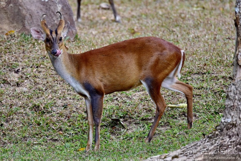 ТАИЛАНДиЯ. Часть 3