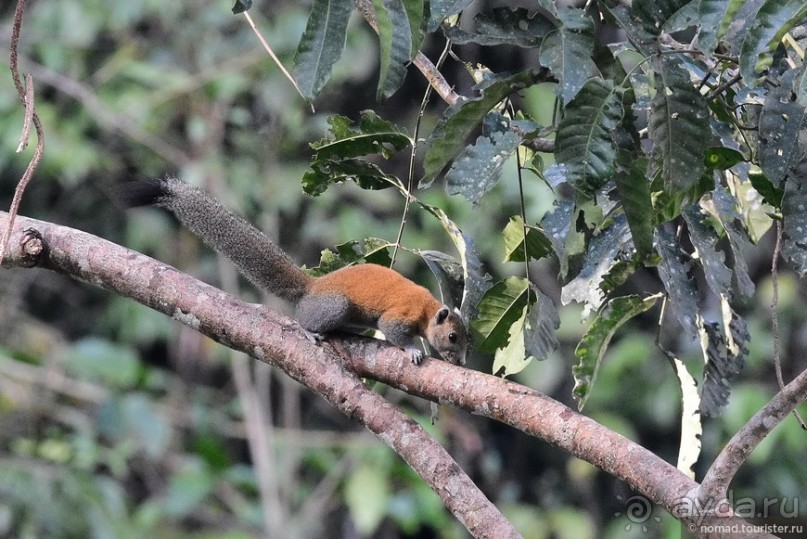 ТАИЛАНДиЯ. Часть 3