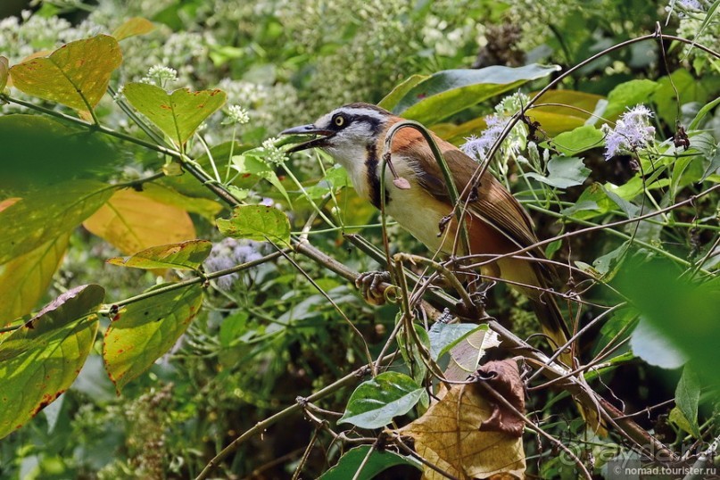 ТАИЛАНДиЯ. Часть 3