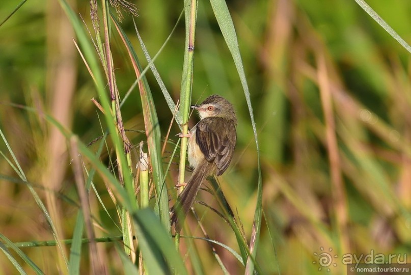 ТАИЛАНДиЯ. Часть 3