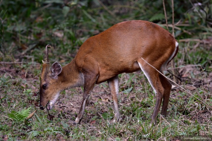 ТАИЛАНДиЯ. Часть 3