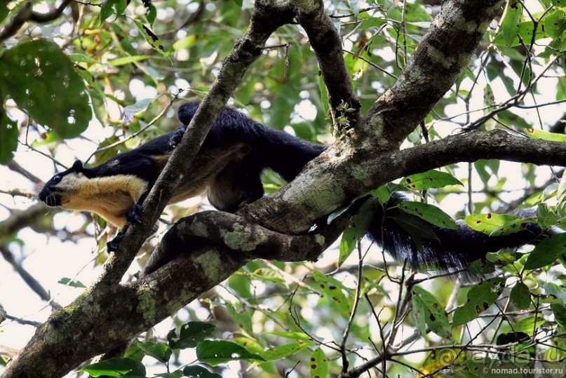 ТАИЛАНДиЯ. Часть 3