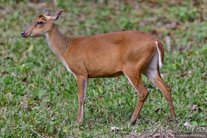 ТАИЛАНДиЯ. Часть 3