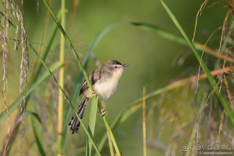 ТАИЛАНДиЯ. Часть 3