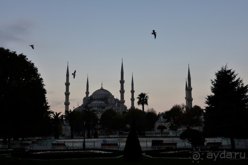 Прогулки по Стамбулу. Город Прогулки по Стамбулу. Город