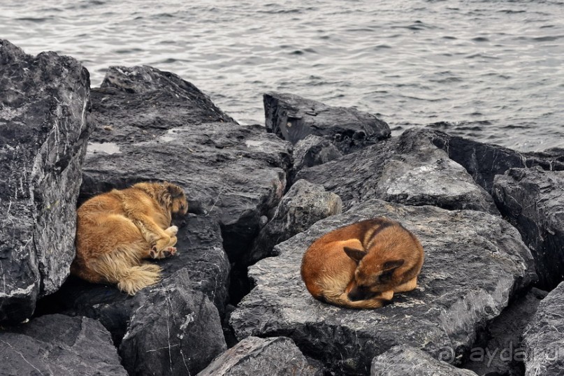 Прогулки по Стамбулу. Город