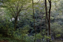 Альбом истории "Адлер. Водопады и горы. Часть 2"