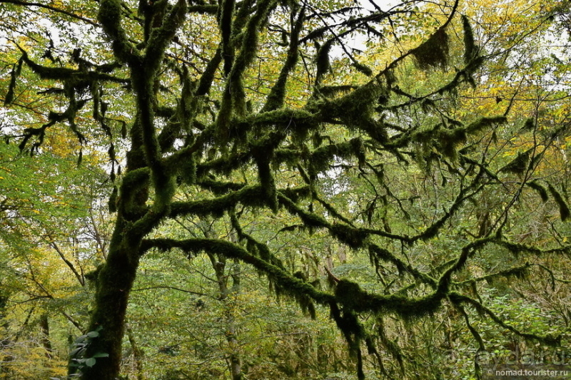 Альбом истории "Адлер. Водопады и горы. Часть 2"