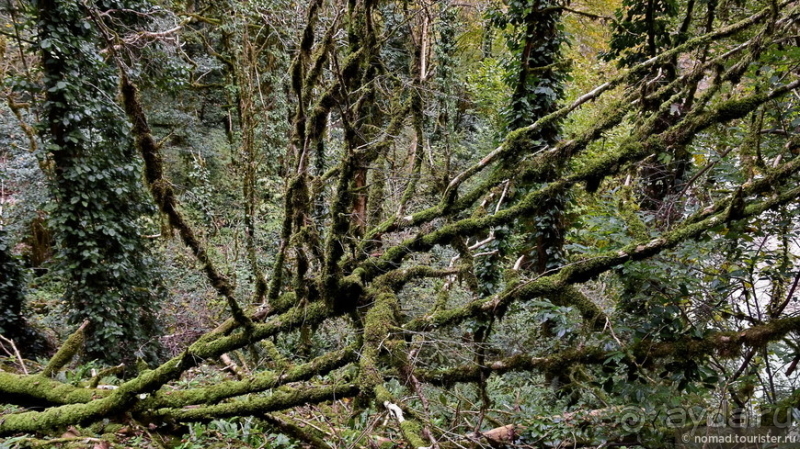 Альбом истории "Адлер. Водопады и горы. Часть 2"