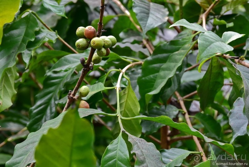 ТАИЛАНДиЯ. Часть 5