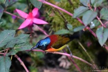 ТАИЛАНДиЯ. Часть 5