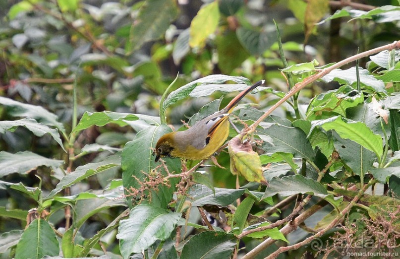 ТАИЛАНДиЯ. Часть 5