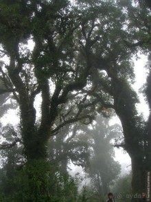 ТАИЛАНДиЯ. Часть 5