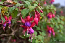 ТАИЛАНДиЯ. Часть 5