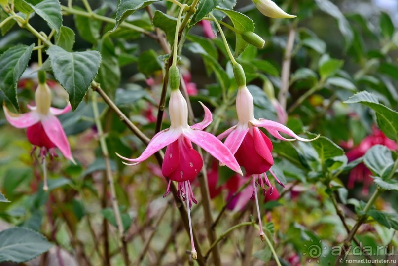 ТАИЛАНДиЯ. Часть 5