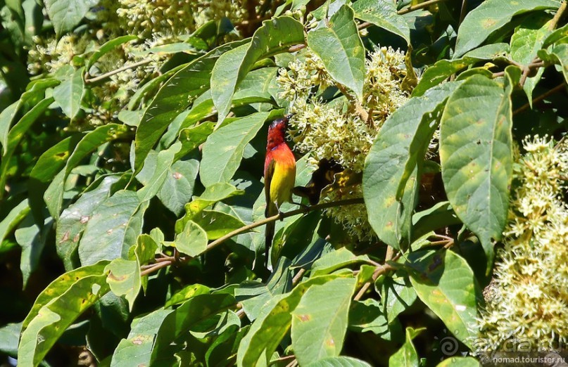 ТАИЛАНДиЯ. Часть 5