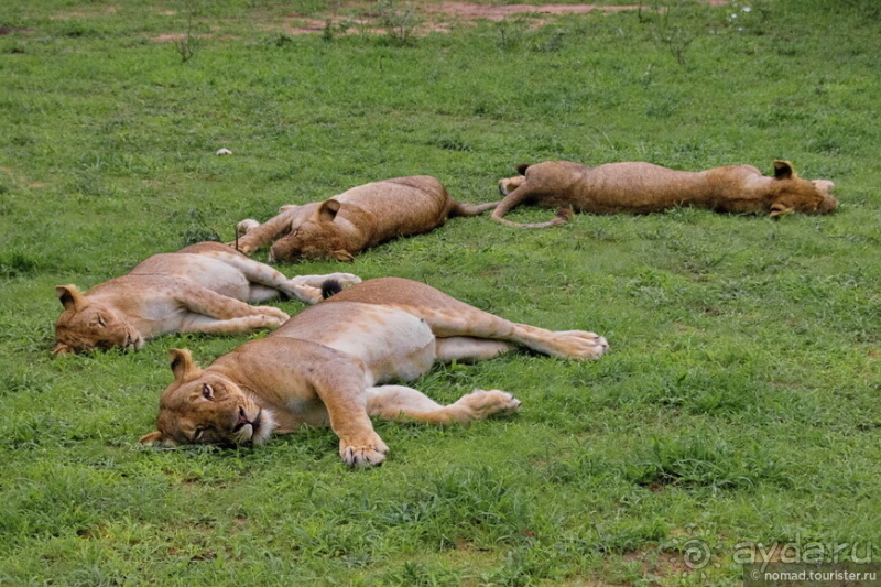 Африканское ралли. Часть 9. Замбия.