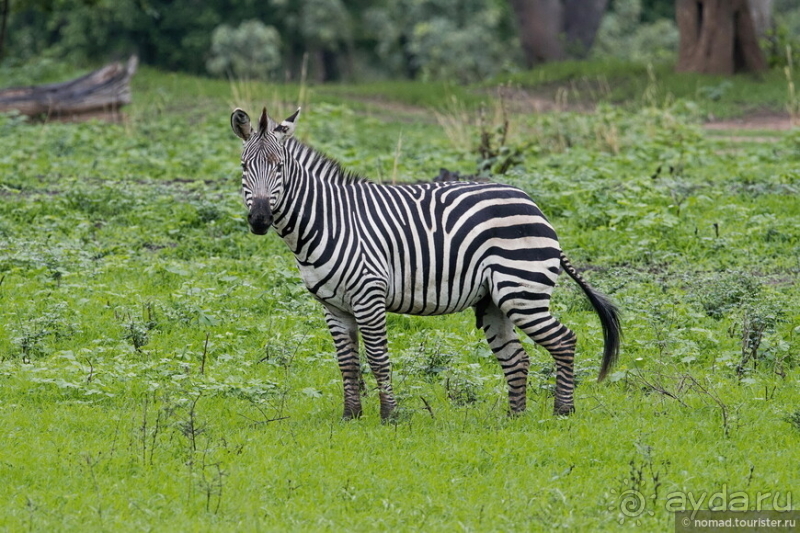 Африканское ралли. Часть 9. Замбия.
