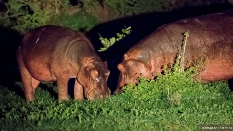 Африканское ралли. Часть 9. Замбия.