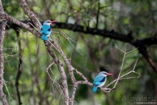 Африканское ралли. Часть 9. Замбия.