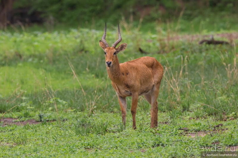 Африканское ралли. Часть 9. Замбия.